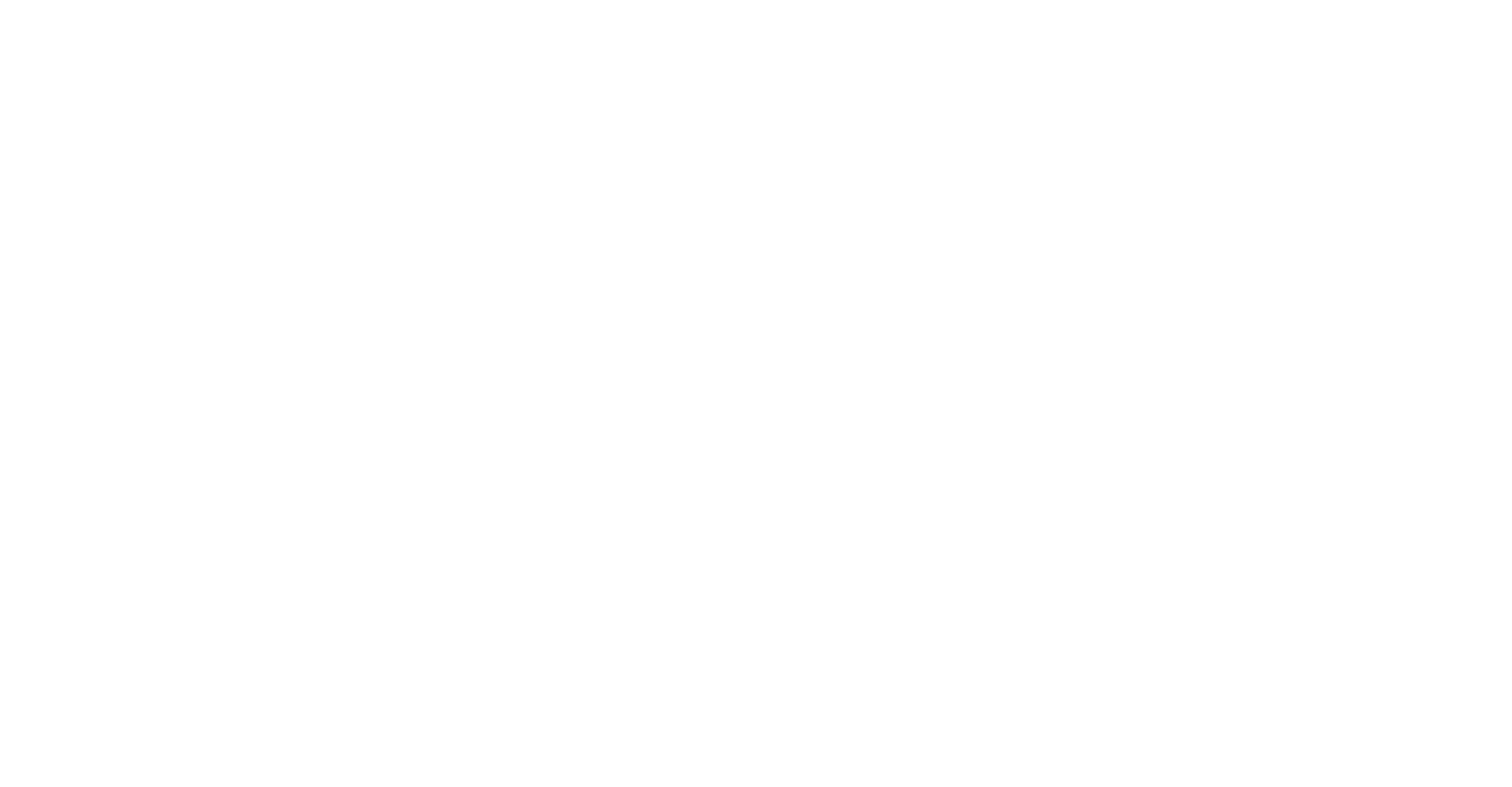 Fizique